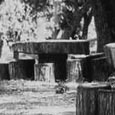Picnic Tables, Garner State Park, c. 1939