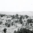 Landscape View, Inks Lake State Park, c. 1936