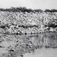 Dam and Spillway, Lake Bosque, Meridian State Park, c. 1934